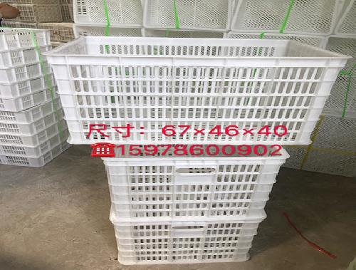 洛阳塑料周转筐-蔬菜水果筐