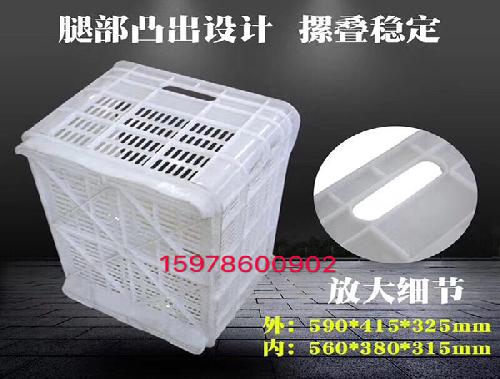 洛阳水果筐批发