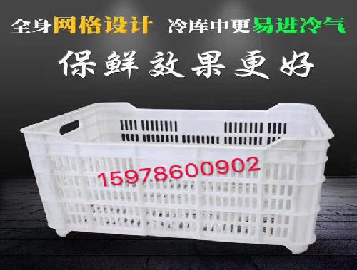 洛阳塑料筐批发-冷库专用筐