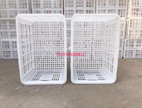 洛阳水果筐批发
