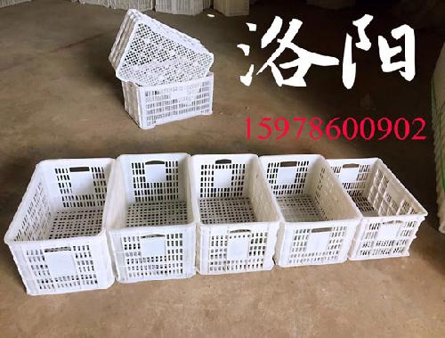 洛阳塑料筐批发