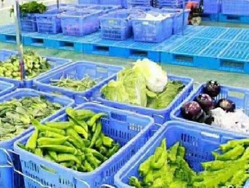 洛阳塑料筐批发-应用