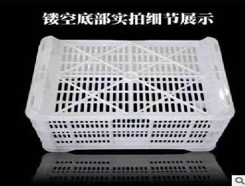 洛阳塑料周转筐-冷库专用