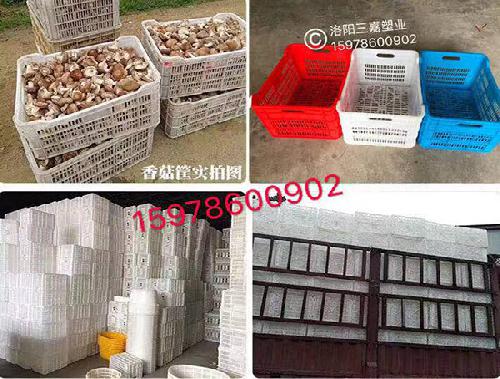 洛阳塑料周转筐-冷库专用